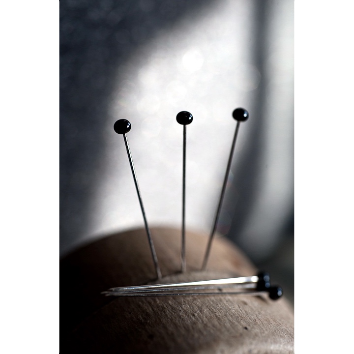 toilet pins2