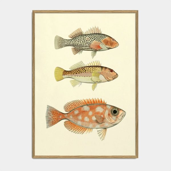 Fishes
