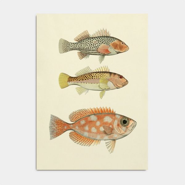 Fishes