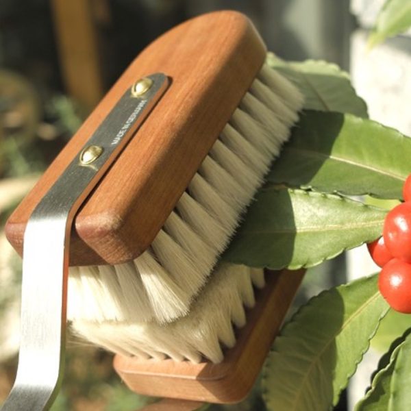 Plant Leaf Brush