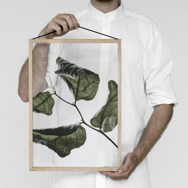 Transparent No.3 Floating Leaves A4