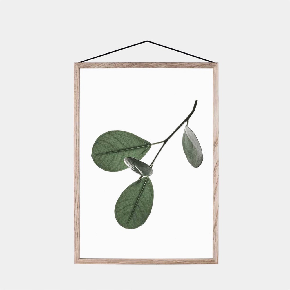 floating-leaves-05