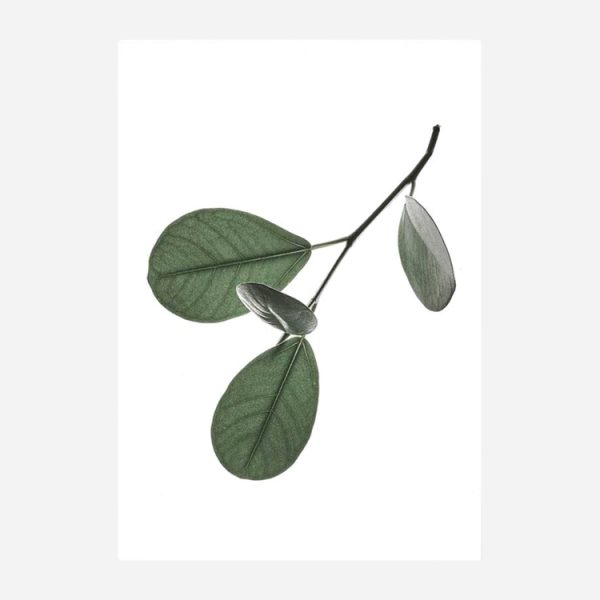 Transparent No.5 Floating Leaves A3 - no