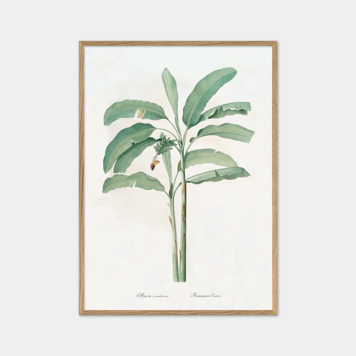 banana