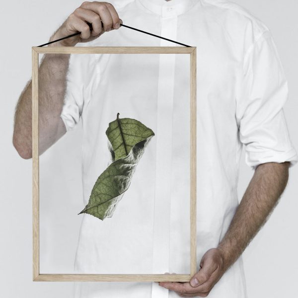 Transparent No.4 Floating Leaves A3