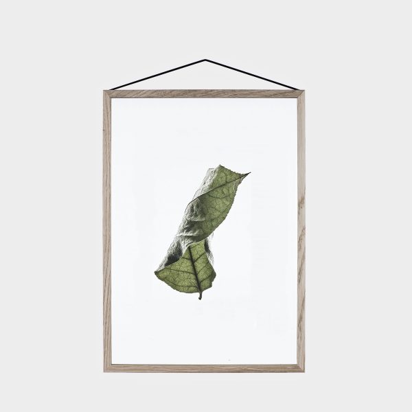 Transparent No.4 Floating Leaves A3