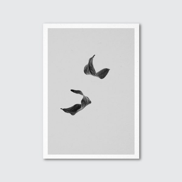 Sabi Leaf 02