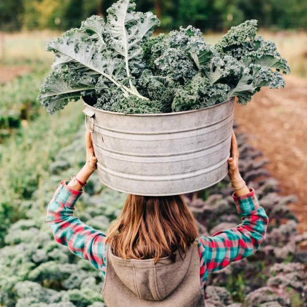 Farmlife