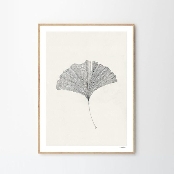 Ginkgo Leaf