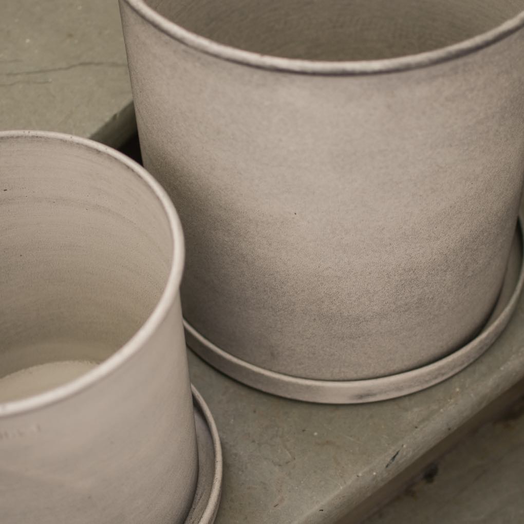 aw23_plant_beige_square-3