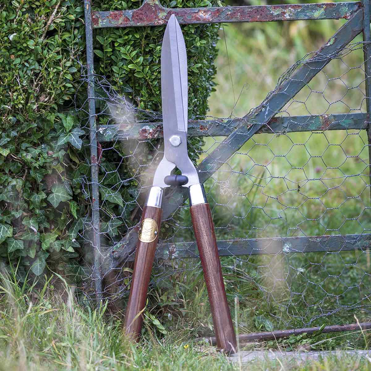 HedgeShear0