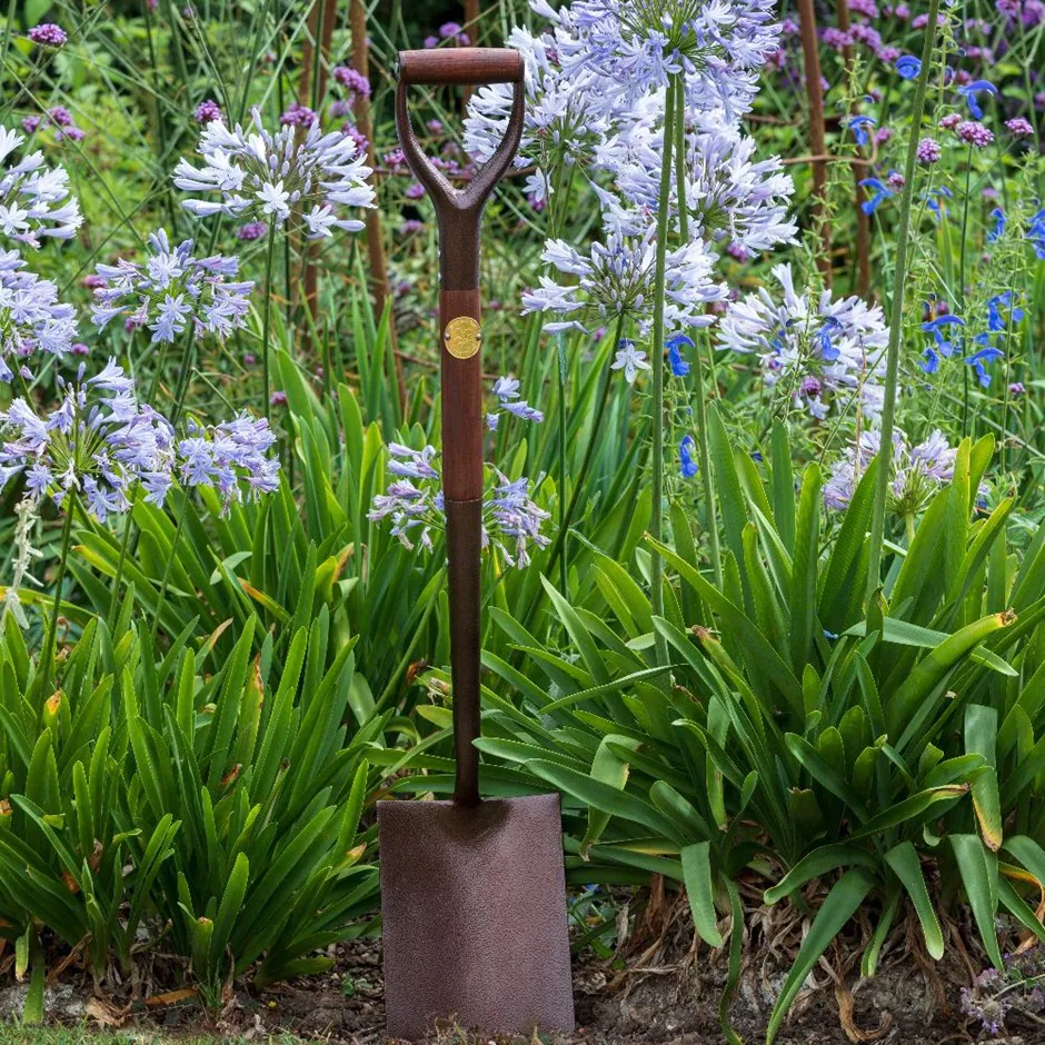 spade bronze