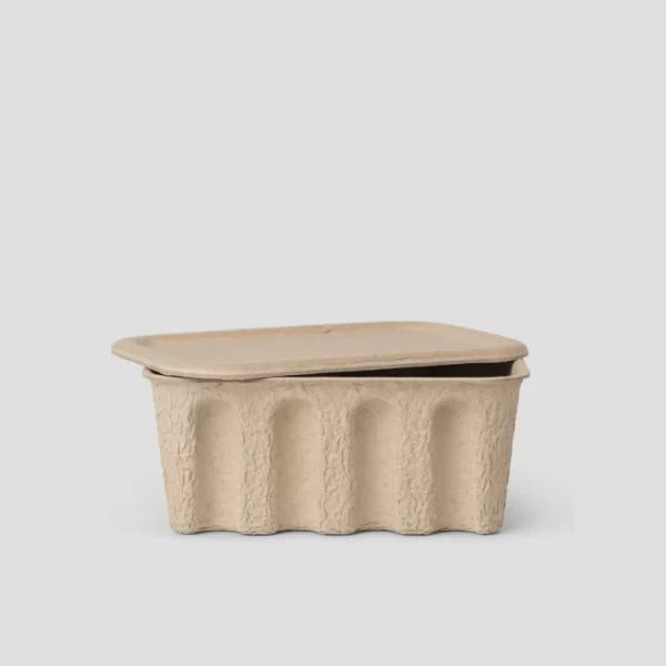 Pulp Paper Box