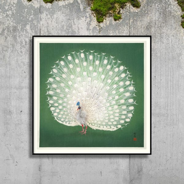 Peacock on Green Framed