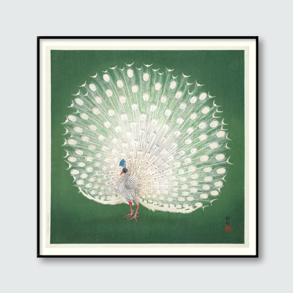 Peacock on Green Framed