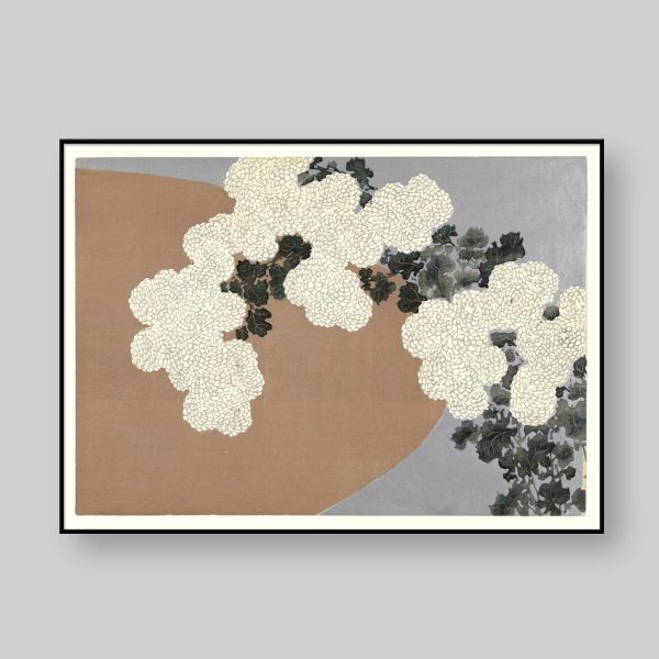 Chrysanthemum