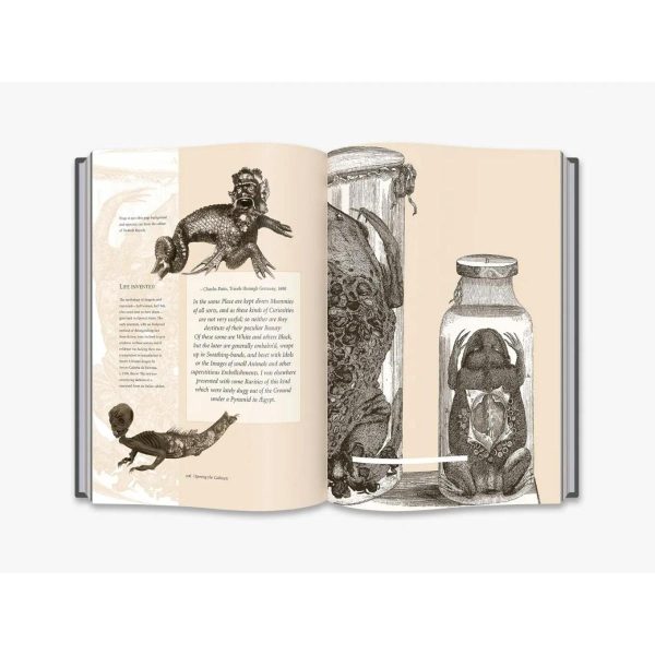 Cabinets of Curiosities