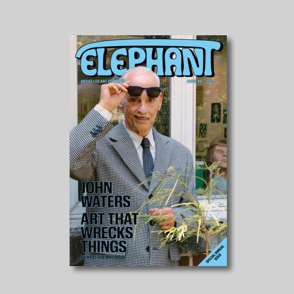 Elephant #49