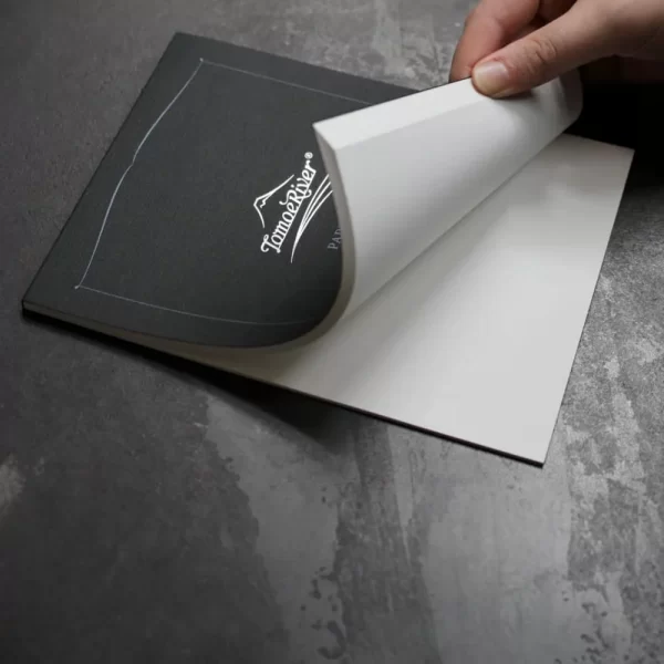 Tomoe River Notepad A4 Plain