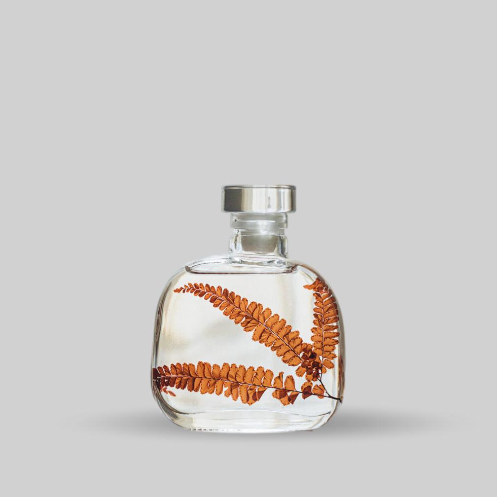 Fougere-felci-rouge-herbier-capsule-evo-Herbarium-plante-immergee-theophile-berthon-1200X1200-8_clipped_rev_2