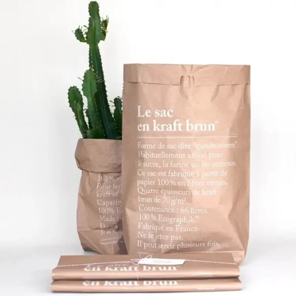 Le Sac en Kraft Brun- The Brown Paper Bag