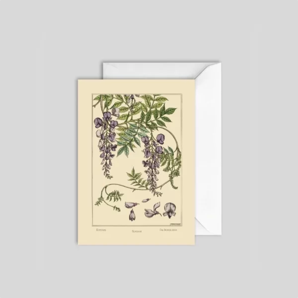 Wisteria Card